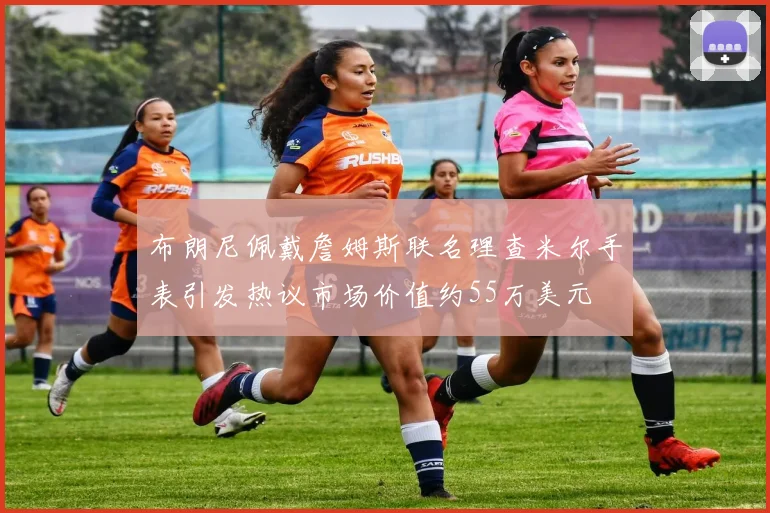 布朗尼佩戴詹姆斯联名理查米尔手表引发热议市场价值约55万美元