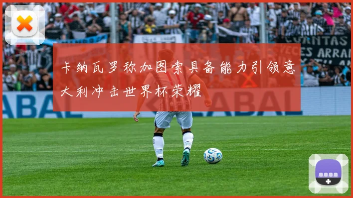 卡纳瓦罗称加图索具备能力引领意大利冲击世界杯荣耀