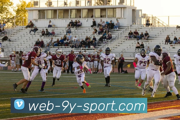 九游体育APP 高清赛事图